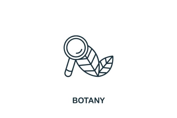 Botany Icon from Science Collection: Strategic Visual Assets for Professional Communication